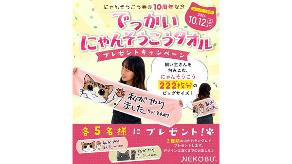 【フェリシモ猫部】「にゃんそうこう」の発売10周年記念で特大タオルプレゼント(10/12まで) 画像