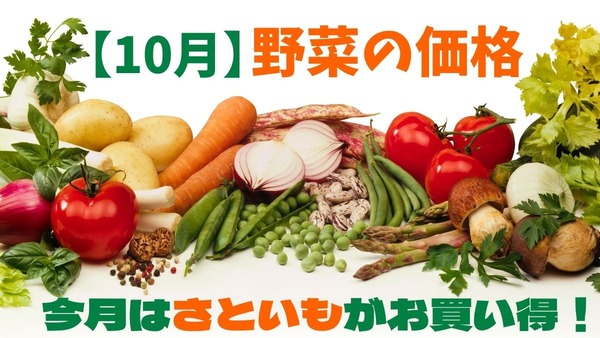 【10月の野菜の価格】食欲の秋、野菜はどうなる？農林水産省より、野菜の生育状況及び価格見通し発表 画像