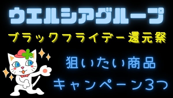 ウエルシアグループの「ブラックフライデー還元祭」3050円払って1600WAON POINTも　狙いたい商品、キャンペーン3つ 画像