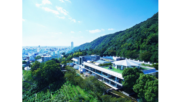 神戸北野に新たな花の空間登場　神戸の海と街を一望する「SOLA KOBE」 画像