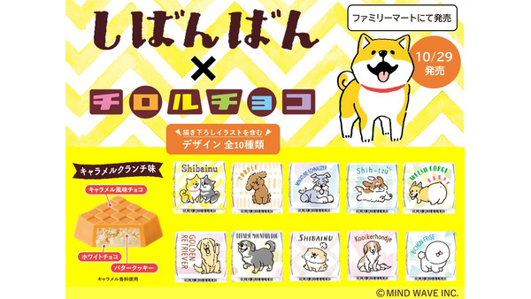 かわいい柴犬のチロルチョコ登場　人気キャラ「しばんばん」とコラボ新商品発売 画像