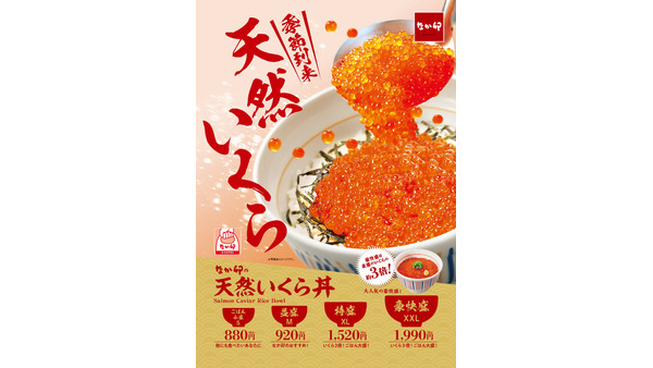 11/6(水)11時～！豪華絢爛「天然いくら丼」を今年も販売開始【なか卯】 画像