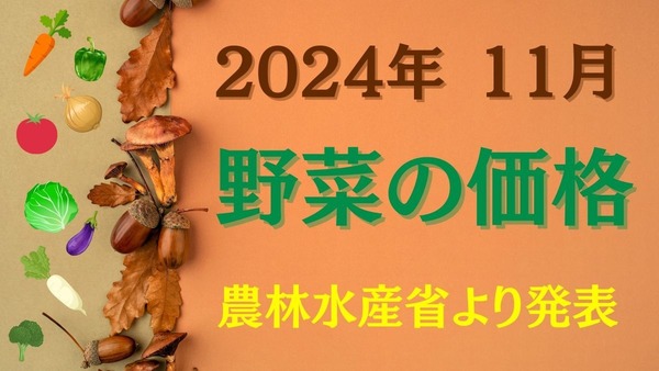 【11月の野菜の価格】農林水産省より、野菜の生育状況及び価格見通し発表 画像