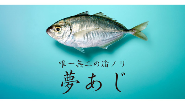 生態系を壊さない、一代限りの養殖魚「夢あじ」のテスト販売開始 画像