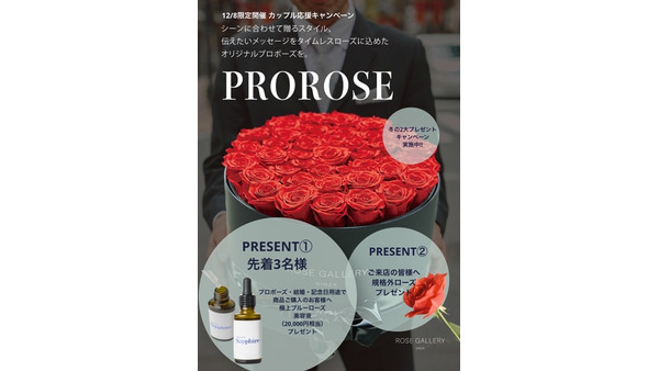 【12/8限定】銀座で特別なプロポーズを！「ROSE GALLERY」冬キャンペーン 画像