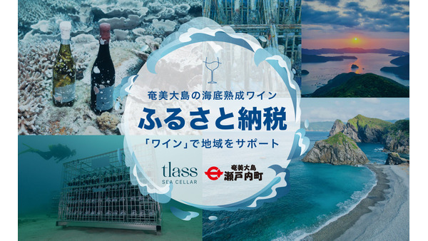 瀬戸内町の「海底熟成ワイン」がふるさと納税に 画像