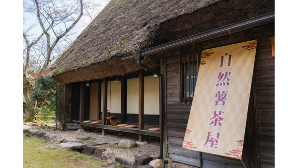 年末限定そばと絶品自然薯料理の特別メニュー(12/28-31) 画像