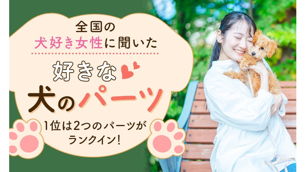 犬好き女性が選ぶ！魅力的な犬のパーツランキング 画像