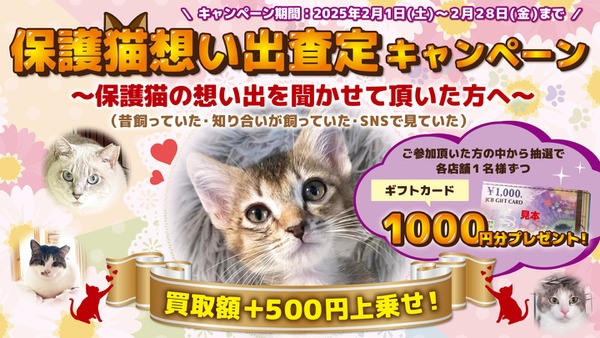 埼玉「ブランド品、貴金属の買取店」8店舗にて保護猫支援キャンペーン開催 画像