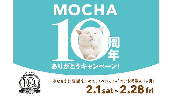 猫カフェMOCHA、10周年記念ありがとうキャンペーン開催 画像