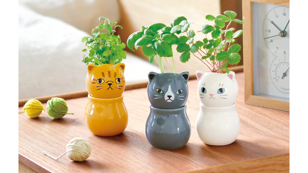 かわいい！猫モチーフでネコ草やハーブを栽培　キット5商品発売【聖新陶芸】 画像