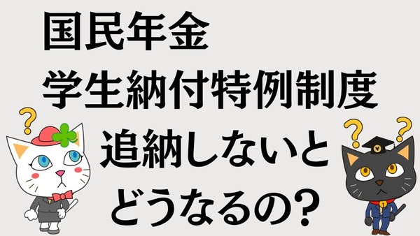 国民年金【学生納付特例制度】追納しないと損する理由を解説 画像