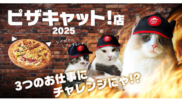 ピザハットが猫の日に「ピザキャット！年2025」を開催！SNSで3つの特別キャンペーン【2月22日から9日間限定】 画像