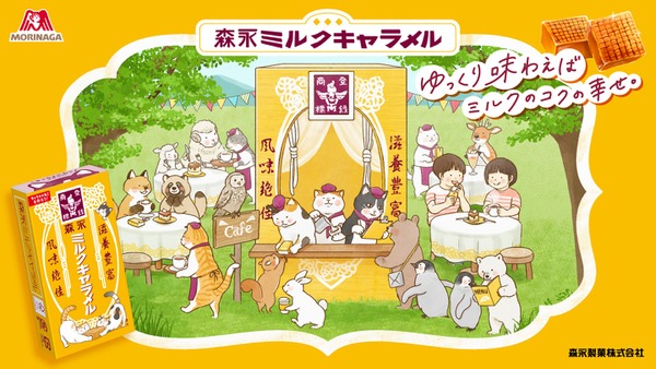 【筋膜リリースガン250名、QUOカード150名など1000人に当たる】「食べて応募！もりにゃがミルクキャラメルキャンペーン」開催 画像