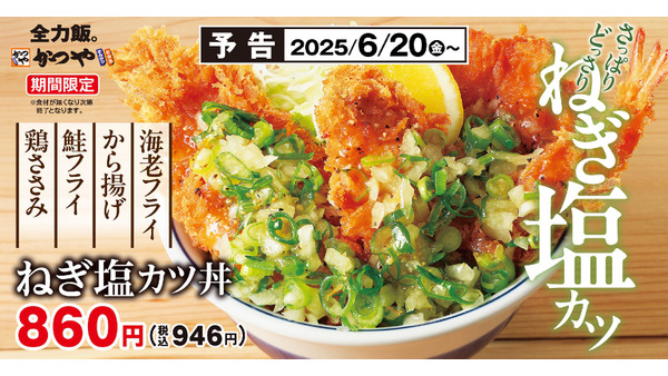 夏バテ知らず！かつやの「ねぎ塩カツ丼」が旨すぎ注意！！青ねぎ＆塩ダレで食欲爆上がり！ 画像