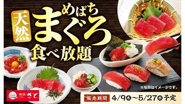 【和食さと】期間限定「天然めばちまぐろ食べ放題コース」を4月9日より全国201店舗で提供開始 画像
