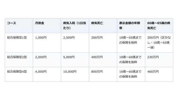 お盆の帰省で親の保険を見直したら。「共済は安い」が正解とは限りません 画像