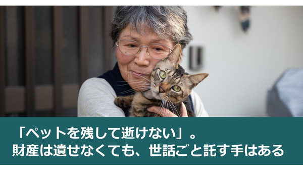 「ペットを残して逝けない」。財産は遺せなくても、世話ごと託す手はある 画像