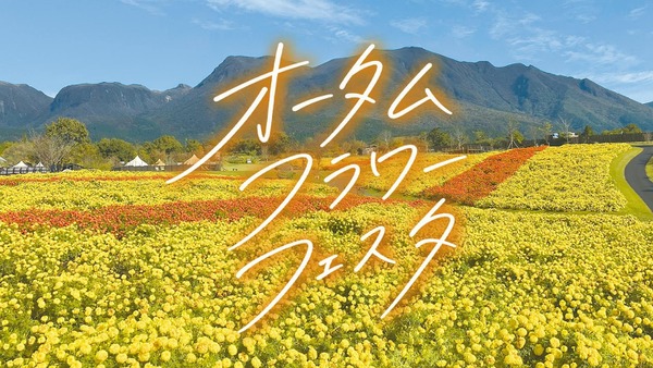 くじゅう花公園「オータムフラワーフェスタ」9月12日開催 7万株のマリーゴールドが咲く天空の花畑 画像