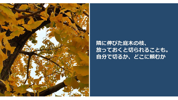 隣に伸びた庭木の枝、放っておくと切られることも。自分で切るか、どこに頼むか 画像