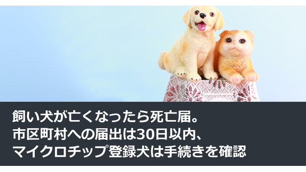 飼い犬が亡くなったら死亡届。市区町村への届出は30日以内、マイクロチップ登録犬は手続きを確認 画像