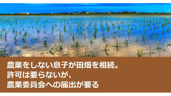 農業をしない息子が田畑を相続。許可は要らないが、農業委員会への届出が要る 画像