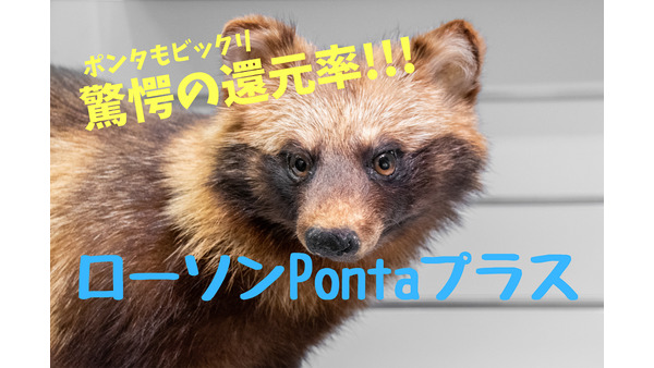 ローソン専用クレカ「ローソンPontaプラス」　対象商品の購入で還元率約12.3％にもなる 画像