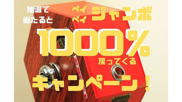 【6月のPayPay】オンライン決済で1000%戻ってくる　決済方法と対象店舗を知り、あとは祈る 画像