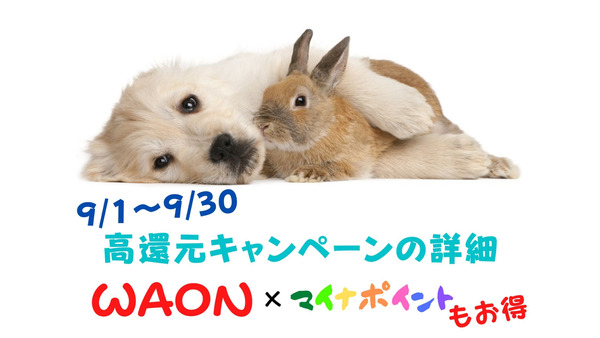 【9/1～9/30】WAONに合計1万円チャージすると抽選で最大5万ポイントプレゼント 画像