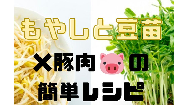 食費節約の味方「もやし＆豆苗」　豚肉コラボの簡単レシピ4選 画像