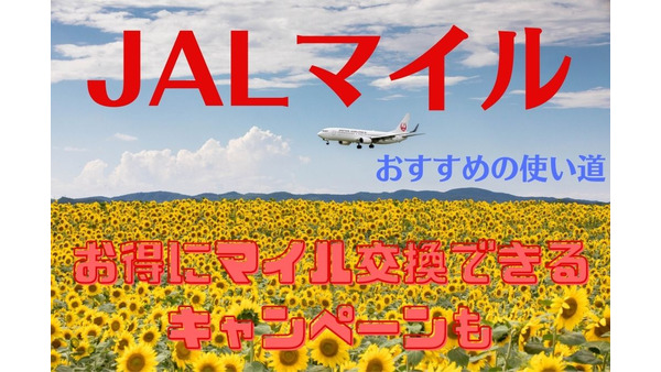 【JALマイル】キャンペーンでお得に交換　使い道はPCR検査・遊覧飛行・コンビニのお得なクーポンがおすすめ 画像