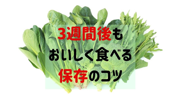 【野菜高騰】葉物野菜3種の「3週間もつ冷凍方法」と「おいしい解凍方法」 画像