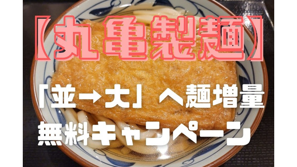 【丸亀製麺】「並→大」へ麺増量無料キャンペーン　家族4人で480円もお得に！ 画像