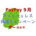 【令和4年9月より開催】PayPayを使って栃木市キャッシュレス推進キャンペーンに参加する方法