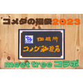 【コメダ珈琲店】meet treeコラボ「コメダの福袋2023」販売決定　内容・予約方法