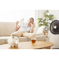 冷房代を節約　猛暑をのりきるための納涼家電ベスト5
