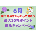 【6月】花王商品をPayPayで買おう！　最大30%ポイント還元キャンペーンを紹介
