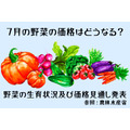 【7月の野菜の価格】にんじん、はくさい、レタスがお買い得！ 農林水産省より、野菜の生育状況及び価格見通し発表