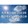 大手電力会社2023年 夏のキャンペーンまとめ 東日本編
