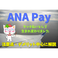 ANA Pay注意点・デメリットを中心に解説