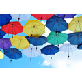 暴風雨にも負けない丈夫な傘がぞくぞく登場　私の「一生モノ」になる傘はどれかしら。