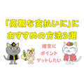 【高額な支払いにおすすめ方法3選】確実にポイントゲットしたい、今月ピンチなど　目的別できちんと選択しよう