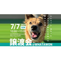 大阪岸和田で保護犬・保護猫譲渡会、ワタワンわんマルシェ開催　施設内ペットの同伴可能！