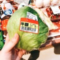【7月の野菜の価格】レタス・ブロッコリーが安い！　農林水産省より野菜の生育状況及び価格見通し発表