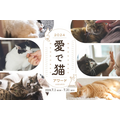 「愛で猫アワード2024」開催、応募期間は7月1日から31日まで