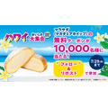 ファミマでハワイ気分！SPAM®むすびなど新商品登場（7/16～）