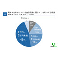 20代の3割が年収400万円以上、将来の不安は97％【20代限定】お金事情に関する簡単アンケート結果