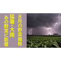 野菜価格（8月）大雨・猛暑の影響であの野菜が値上がり！ 代替野菜案とおすすめレシピ