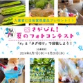 佐賀県産品「パシャ！」で佐賀の美味しいものがもらえる？Instagram「さがぴん」のフォトコンテスト（8/7-8/28）