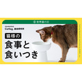 猫サマ、夏は食欲ないのです…「猫様の食事と食いつき」関する調査結果